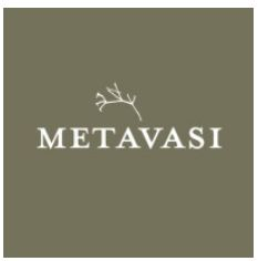 Metavasi